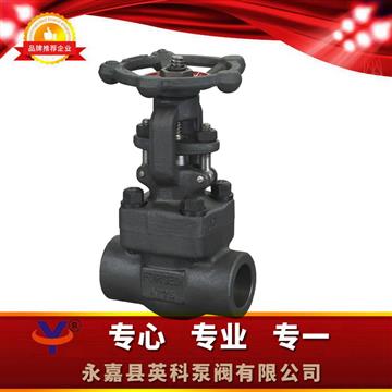 Z61Y鍛鋼承插焊閘閥